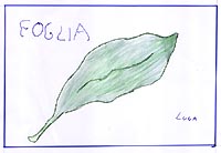 La foglia