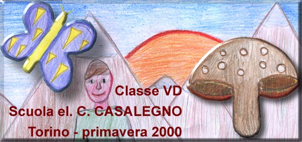 VD scuola elementare Casalegno 1999-2000